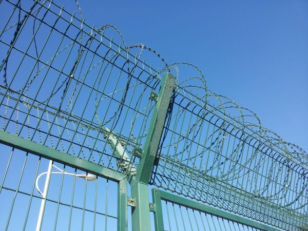 concertina wire is installed on a wire mesh fence
