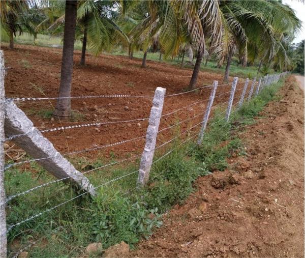 Straight Line Razor Wire Used for forest protection